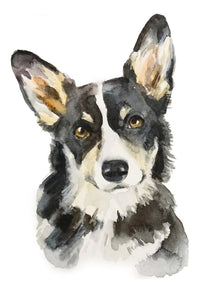 Watercolour Pet Portrait