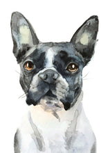 Load image into Gallery viewer, Watercolour Pet Portrait