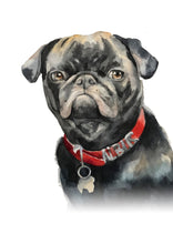 Load image into Gallery viewer, Watercolour Pet Portrait