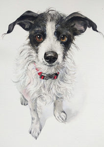 Watercolour Pet Portrait