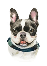 Load image into Gallery viewer, Watercolour Pet Portrait