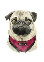 Load image into Gallery viewer, Watercolour Pet Portrait