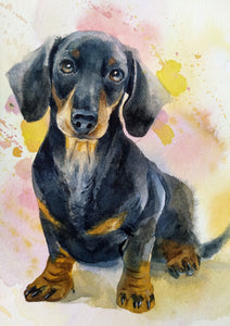 Watercolour Pet Portrait