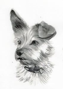 Monochrome Ink Pet Portrait