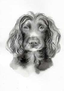 Monochrome Ink Pet Portrait