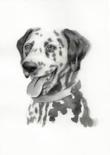 Load image into Gallery viewer, Monochrome Ink Pet Portrait