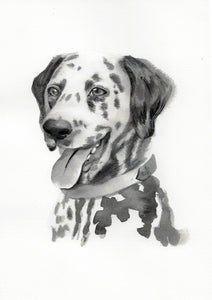 Monochrome Ink Pet Portrait