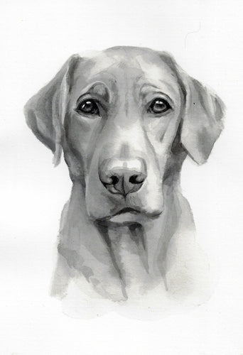 Monochrome Ink Pet Portrait